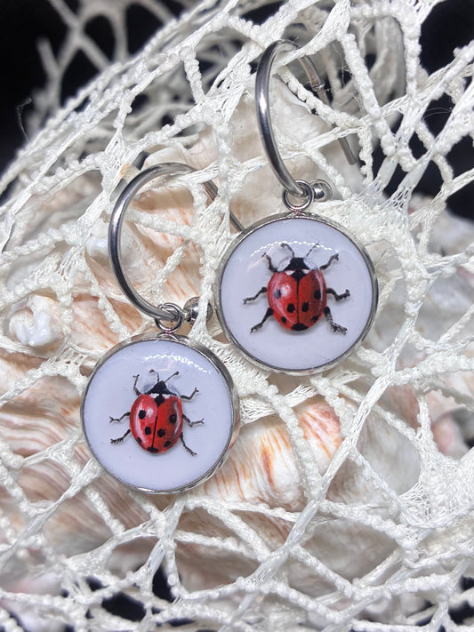 Ladybugs 🐞🐞