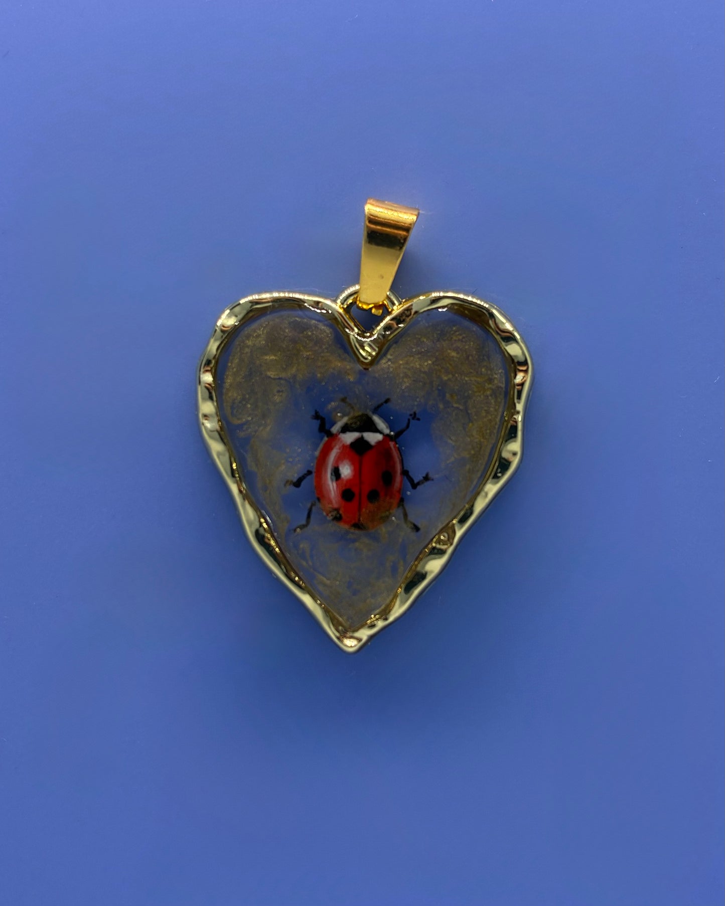 🐞 Ladybug’s Love ❤️