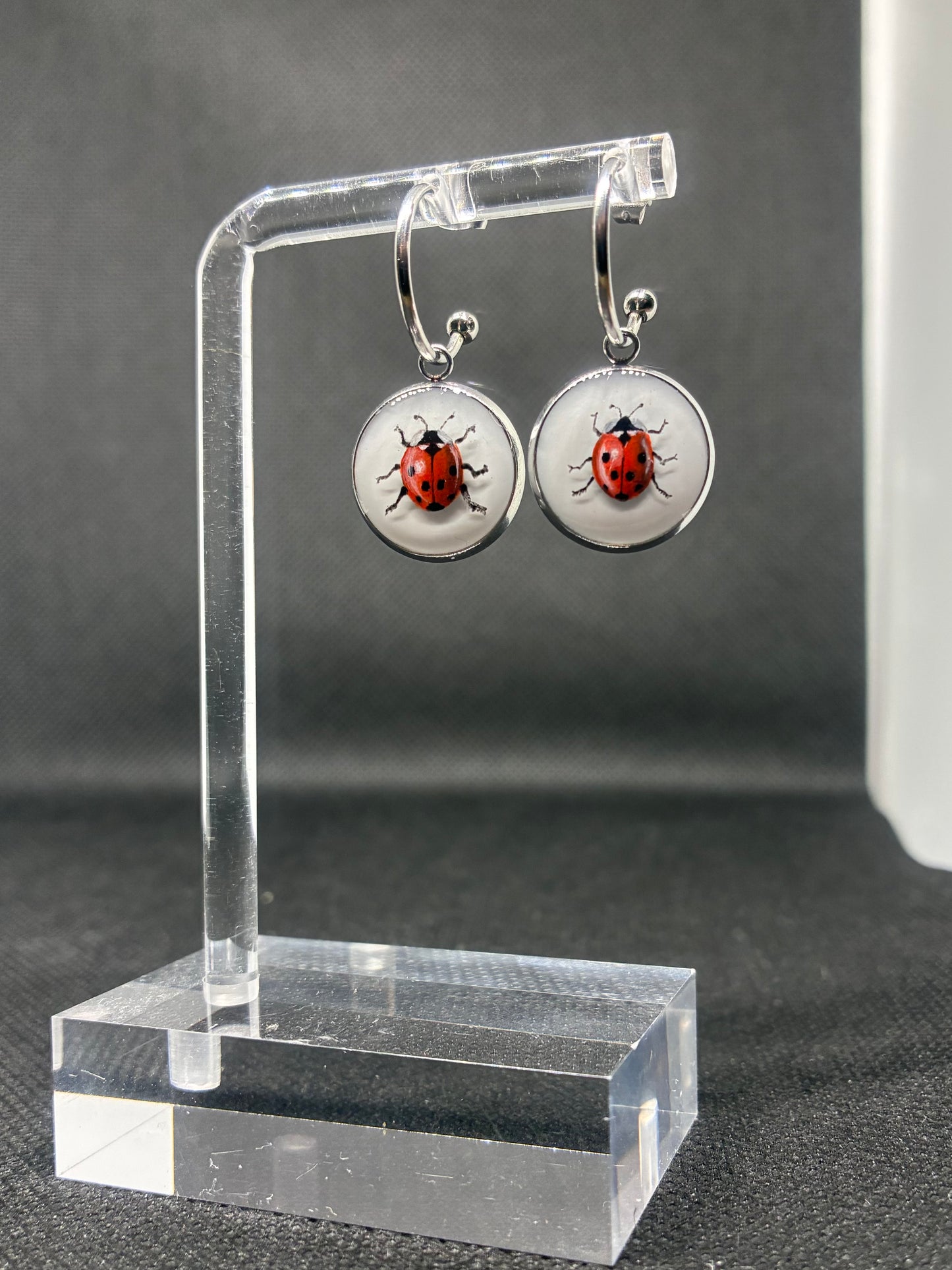 Ladybugs 🐞🐞