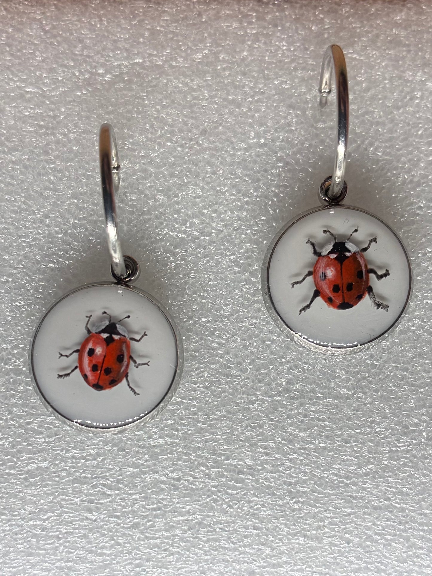 Ladybugs 🐞🐞