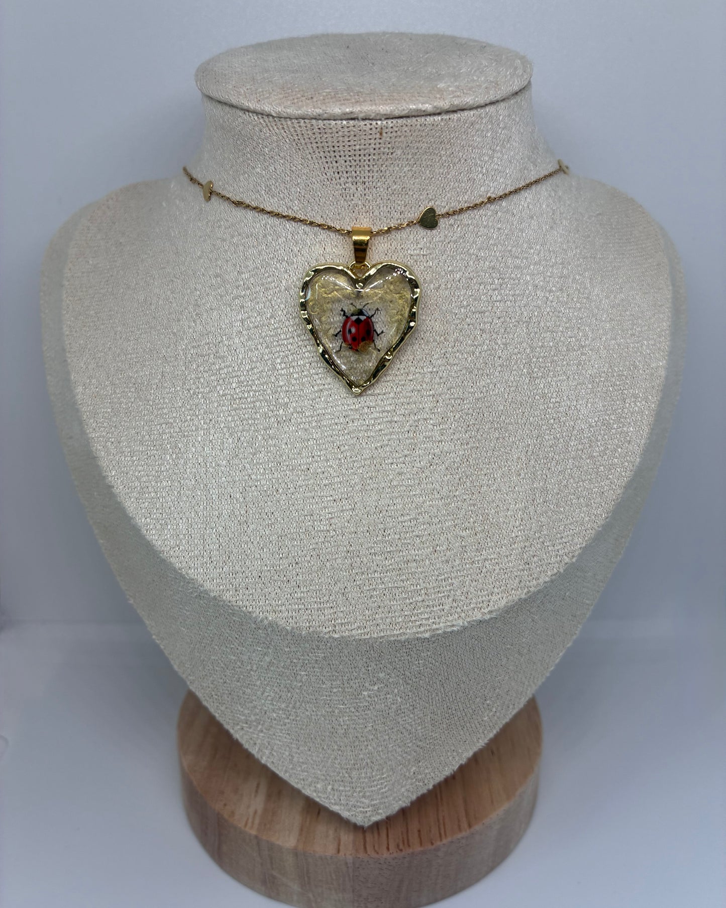 🐞 Ladybug’s Love ❤️