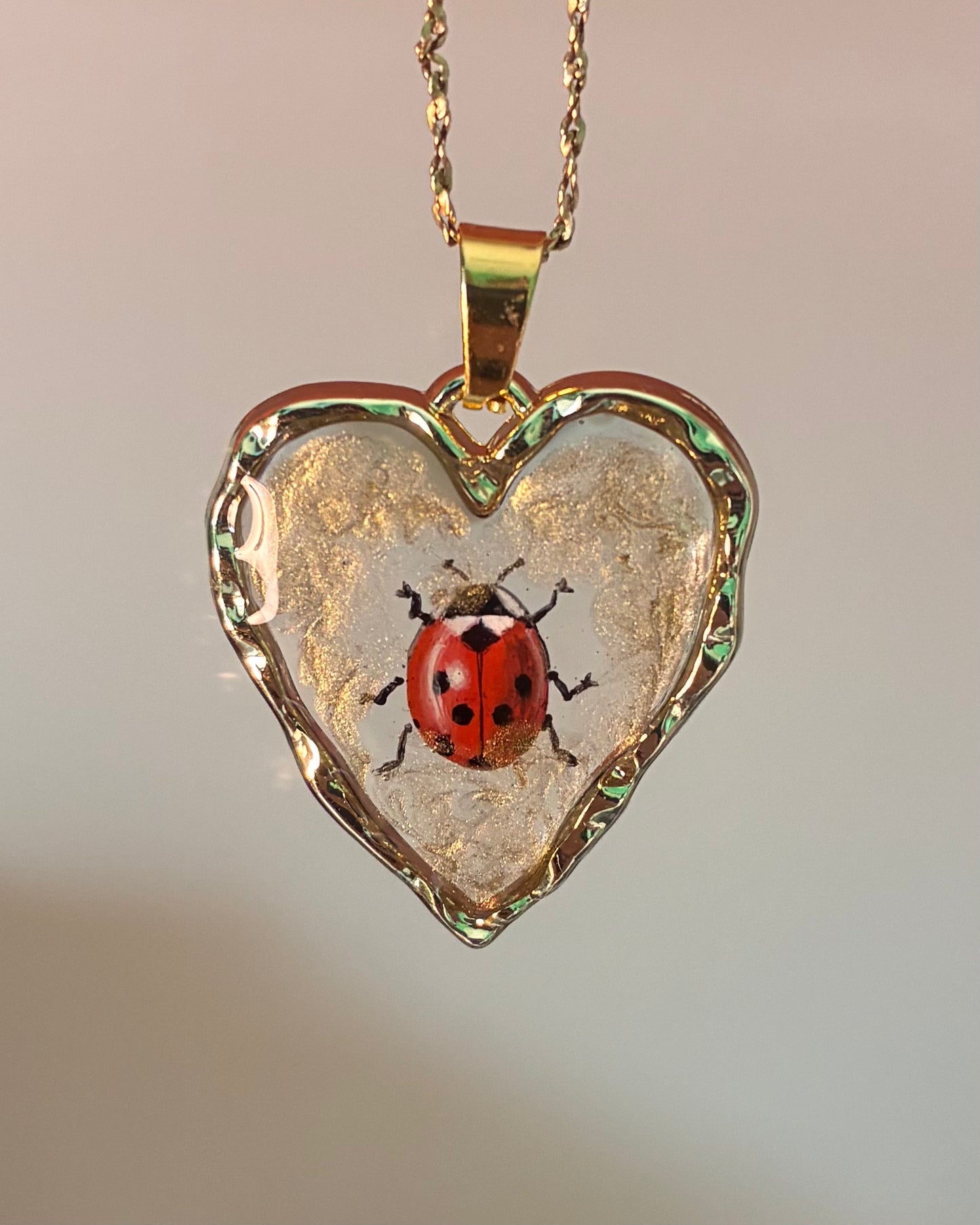 🐞 Ladybug’s Love ❤️